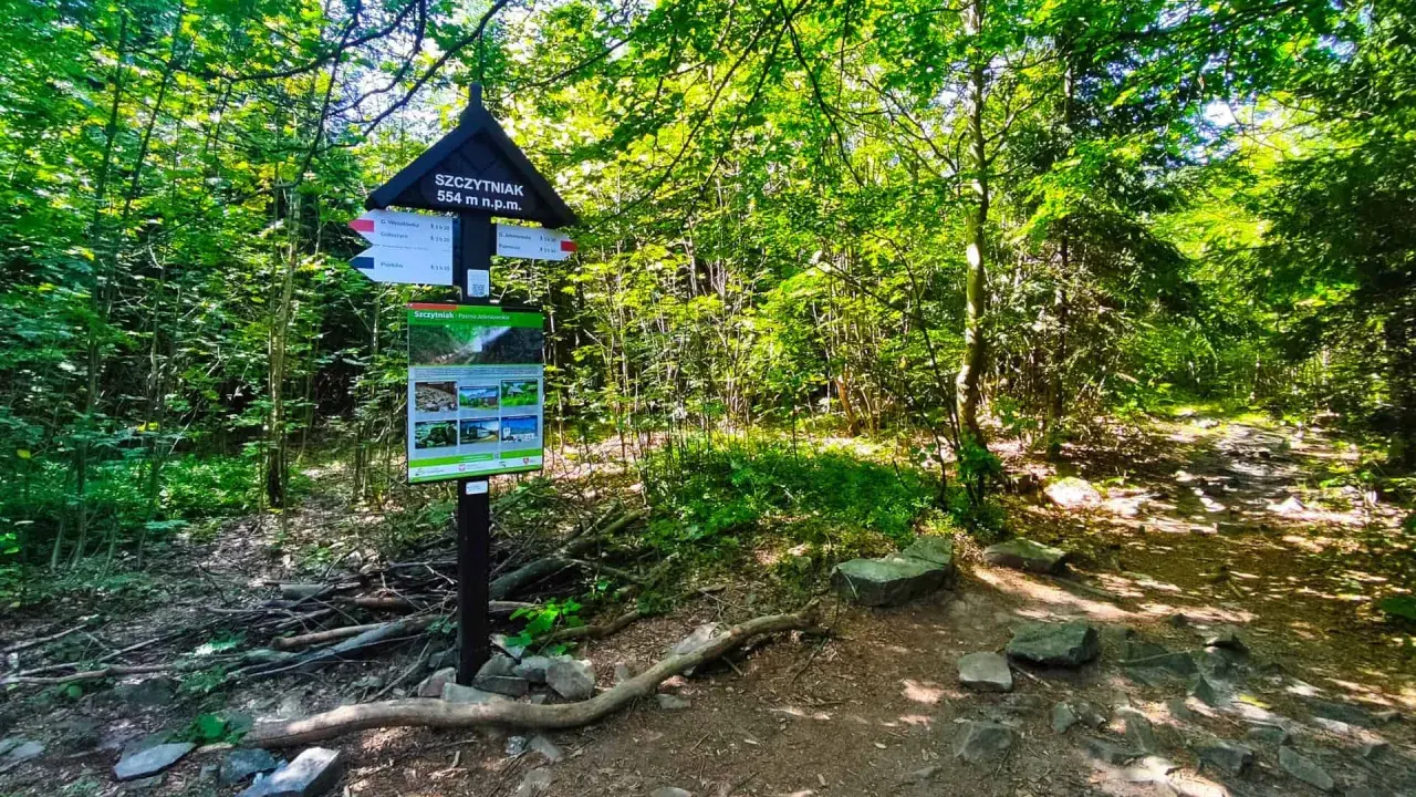 Szczytniak 554 m n.p.m. w Górach Świętokrzyskich. Tablica informacyjna i szlak w lesie.
