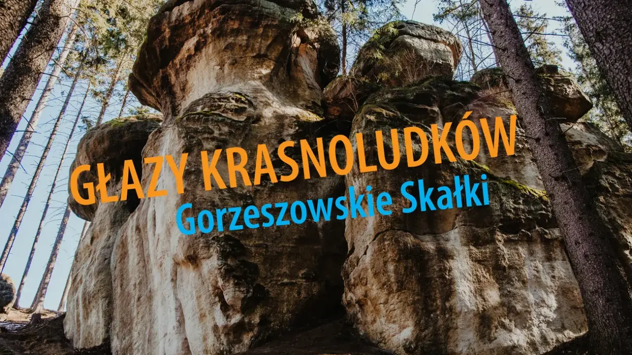 Imponujące głazy krasnoludków w Gorzeszowskich Skałkach, otoczone lasem.