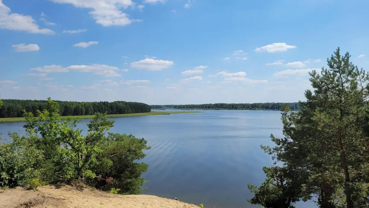 Piękny, spokojny dzień nad jeziorem Maziarnia. Błękitne niebo z białymi chmurkami, otoczone zielonym lasem.