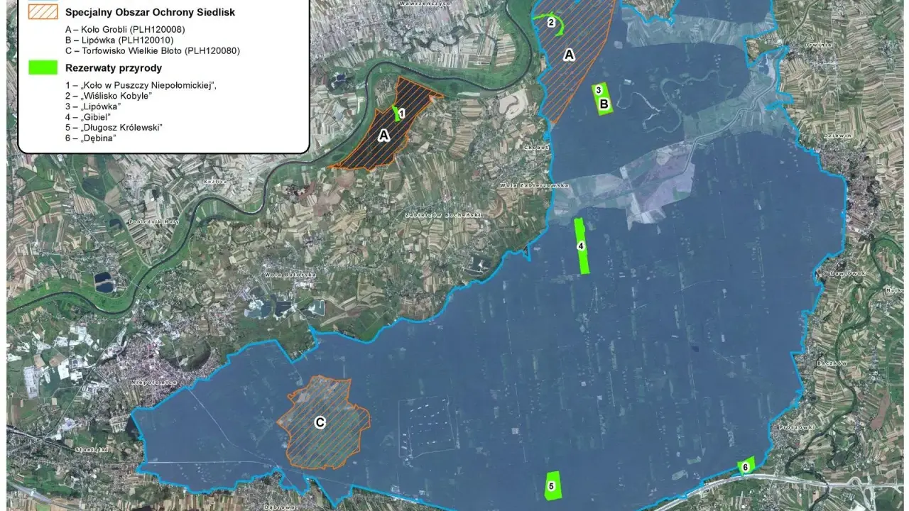 Mapa Puszczy Niepołomickiej z zaznaczonymi obszarami ochrony ptaków i siedlisk, rezerwatami przyrody oraz fragmentami lasów i pól.