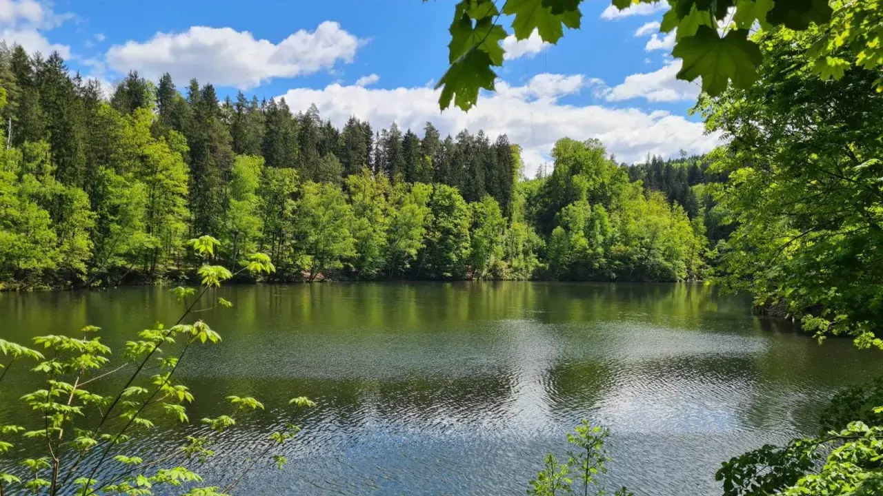 Spokojne jezioro otoczone bujną zielenią lasów, idealne na trasę "Perła Zachodu". Błękitne niebo z białymi chmurami odbija się w wodzie.