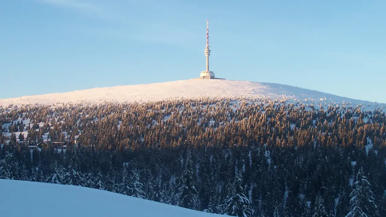 Zimowa trasa na Pradziad. Śnieżny szczyt z wieżą widokową i gęsty las świerkowy.