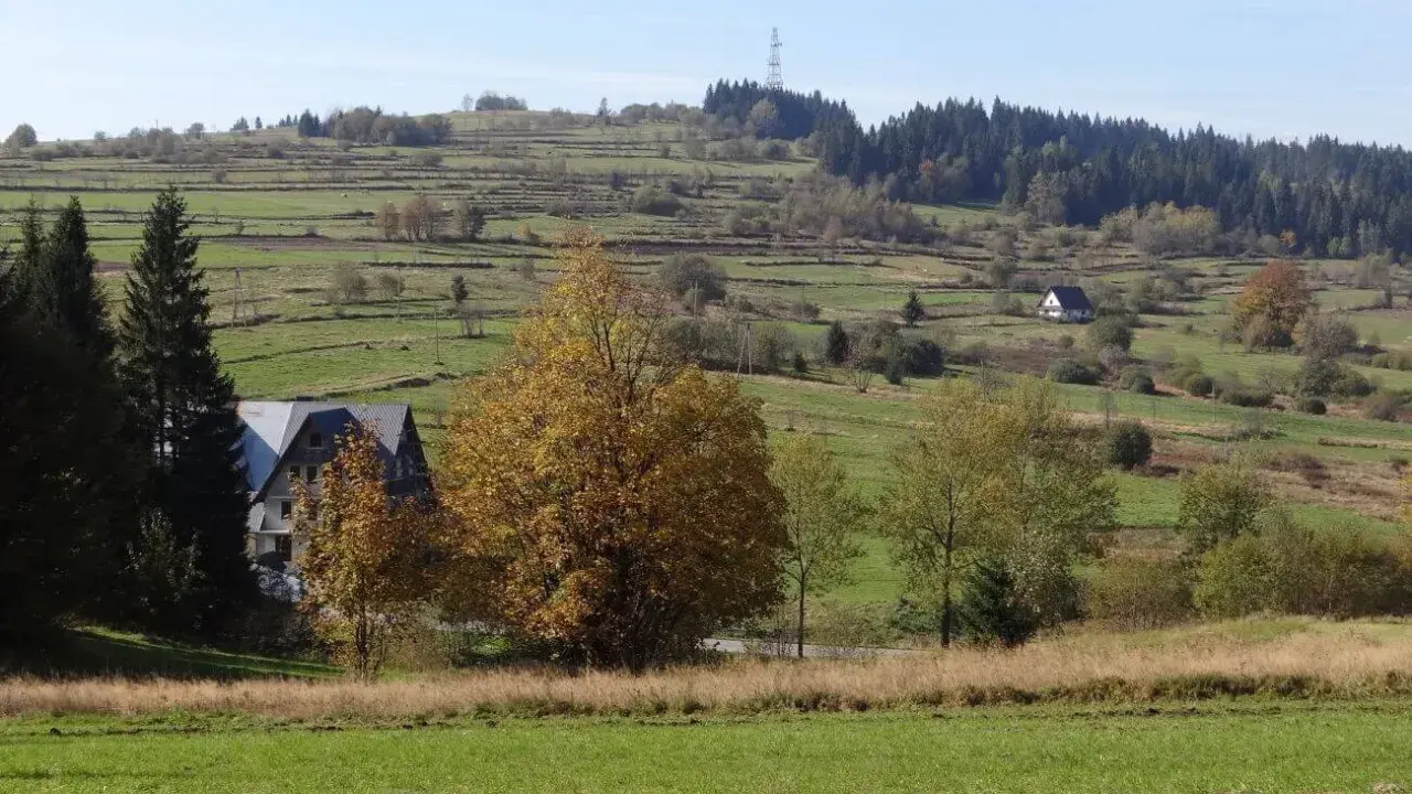 Jesienny krajobraz z domem i drzewami w kolorach złota. W oddali widać tarasowe pola i bukowiński wierch.
