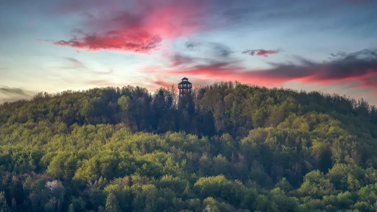 Wieża widokowa na górze Cergowej pośród zielonych lasów, pod malowniczym, różowym niebem o zachodzie słońca.