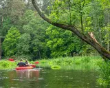 Dwie osoby płyną kajakiem po spokojnym jeziorze Ukiel, otoczeni bujną zielenią lasu.