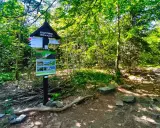 Szczytniak 554 m n.p.m. w Górach Świętokrzyskich. Tablica informacyjna i szlak w lesie.