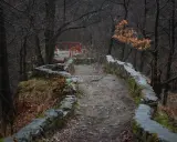 Kamienna ścieżka w Książańskim Parku Krajobrazowym, otoczona kamiennym murem i drzewami.