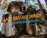 Imponujące głazy krasnoludków w Gorzeszowskich Skałkach, otoczone lasem.