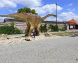 Dziecko podziwia ogromnego dinozaura w JuraParku. Jura Krakowsko-Częstochowska oferuje wspaniałe atrakcje dla dzieci.