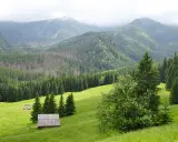 Zielona dolina z chatkami i lasem świerkowym, w tle góry. Idealne miejsce na spacer, piękna kalatówki trasa.