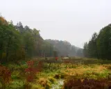 Jesienny krajobraz Puszczy Kozienickiej z mgłą unoszącą się nad mokradłami i kolorowymi drzewami.