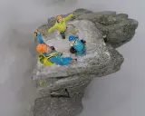 Trzech wspinaczy na szczycie Mnicha w Tatrach, otoczonych mgłą. Radość i adrenalina na twarzach.