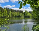 Spokojne jezioro otoczone bujną zielenią lasów, idealne na trasę "Perła Zachodu". Błękitne niebo z białymi chmurami odbija się w wodzie.