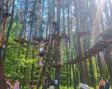 Park linowy w Białymstoku oferuje emocjonujące atrakcje dla dorosłych. Wspinaczka po drzewach i pokonywanie mostków to świetna zabawa.