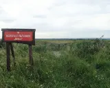 Tablica informacyjna "Rezerwat Przyrody Beka" wśród dzikiej roślinności. Drewniana kładka prowadzi w głąb rozległych łąk.