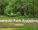 Ścieżka przez zielony las w Kozłowieckim Parku Krajobrazowym.