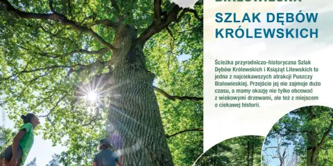Dzieci podziwiają potężny dąb na Szlaku Dębów Królewskich w Puszczy Białowieskiej. Słońce przebija się przez liście.