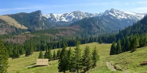 Łatwe szczyty Tatr kuszą zielonymi dolinami i ośnieżonymi wierzchołkami. Drewniana chata wita w sercu gór.