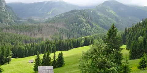 Zielona dolina z chatkami i lasem świerkowym, w tle góry. Idealne miejsce na spacer, piękna kalatówki trasa.