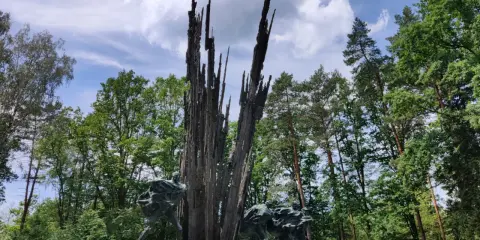 Pomnik w lasach janowskich. Grupa ludzi biegnie w stronę wysokiego, poszarpanego monumentu.