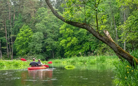 Dwie osoby płyną kajakiem po spokojnym jeziorze Ukiel, otoczeni bujną zielenią lasu.