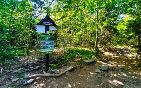 Szczytniak 554 m n.p.m. w Górach Świętokrzyskich. Tablica informacyjna i szlak w lesie.