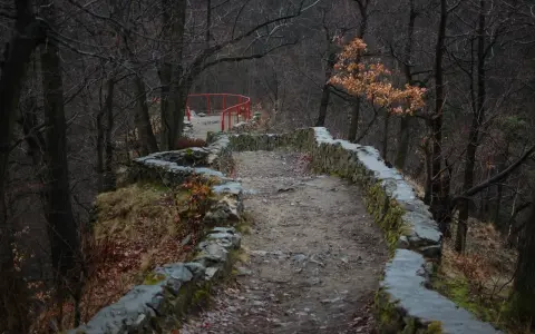 Kamienna ścieżka w Książańskim Parku Krajobrazowym, otoczona kamiennym murem i drzewami.