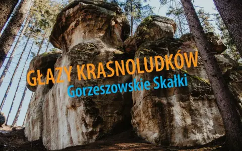 Imponujące głazy krasnoludków w Gorzeszowskich Skałkach, otoczone lasem.