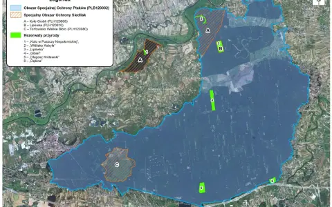 Mapa Puszczy Niepołomickiej z zaznaczonymi obszarami ochrony ptaków i siedlisk, rezerwatami przyrody oraz fragmentami lasów i pól.