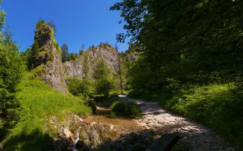 Ścieżka w Wąwozie Homole, idealna na spacer. Czas przejścia zależy od tempa, ale warto zatrzymać się przy strumieniu i skałach.
