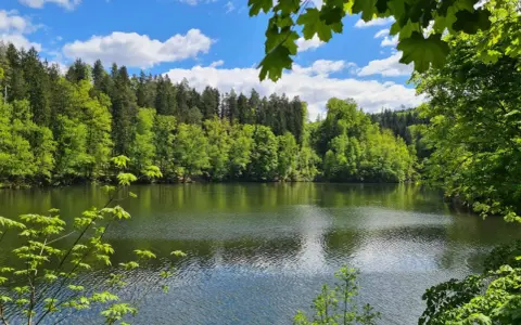 Spokojne jezioro otoczone bujną zielenią lasów, idealne na trasę "Perła Zachodu". Błękitne niebo z białymi chmurami odbija się w wodzie.