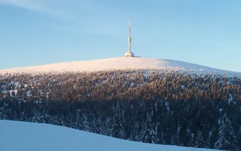 Zimowa trasa na Pradziad. Śnieżny szczyt z wieżą widokową i gęsty las świerkowy.