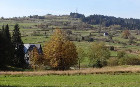 Jesienny krajobraz z domem i drzewami w kolorach złota. W oddali widać tarasowe pola i bukowiński wierch.