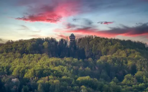 Wieża widokowa na górze Cergowej pośród zielonych lasów, pod malowniczym, różowym niebem o zachodzie słońca.