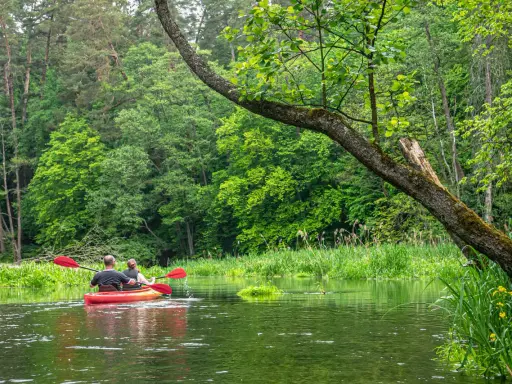 Dwie osoby płyną kajakiem po spokojnym jeziorze Ukiel, otoczeni bujną zielenią lasu.