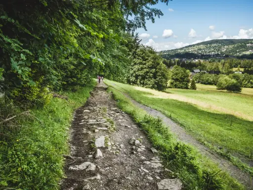 Kamienista droga pod reglami, po której jadą rowerzyści. Po prawej zielone łąki i zabudowania w oddali.