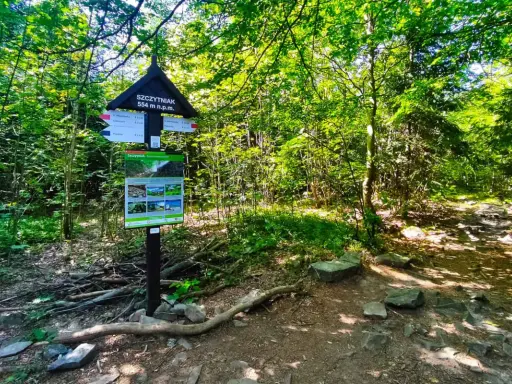 Szczytniak 554 m n.p.m. w Górach Świętokrzyskich. Tablica informacyjna i szlak w lesie.
