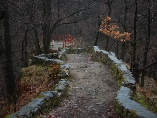 Kamienna ścieżka w Książańskim Parku Krajobrazowym, otoczona kamiennym murem i drzewami.