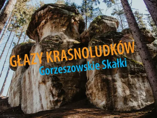 Imponujące głazy krasnoludków w Gorzeszowskich Skałkach, otoczone lasem.
