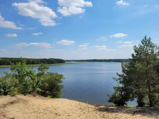 Piękny, spokojny dzień nad jeziorem Maziarnia. Błękitne niebo z białymi chmurkami, otoczone zielonym lasem.