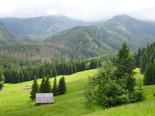 Zielona dolina z chatkami i lasem świerkowym, w tle góry. Idealne miejsce na spacer, piękna kalatówki trasa.