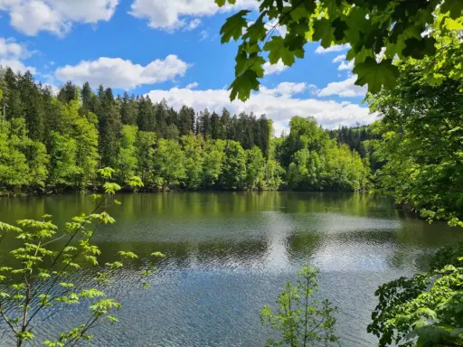 Spokojne jezioro otoczone bujną zielenią lasów, idealne na trasę "Perła Zachodu". Błękitne niebo z białymi chmurami odbija się w wodzie.