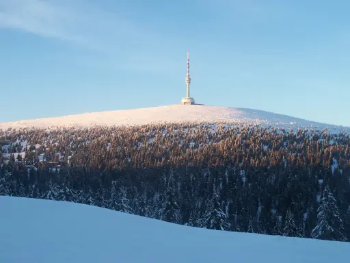 Zimowa trasa na Pradziad. Śnieżny szczyt z wieżą widokową i gęsty las świerkowy.