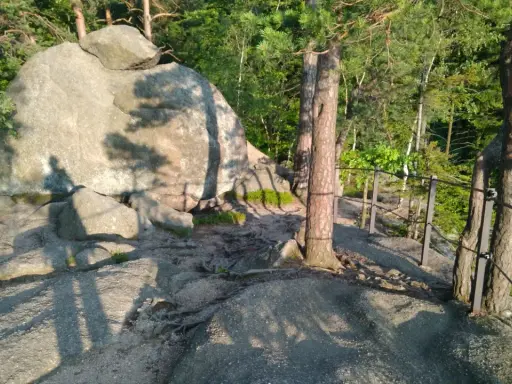 Kamienne formacje skalne, przypominające husyckie skały, porośnięte mchem i otoczone drzewami. Widoczny fragment ogrodzenia.