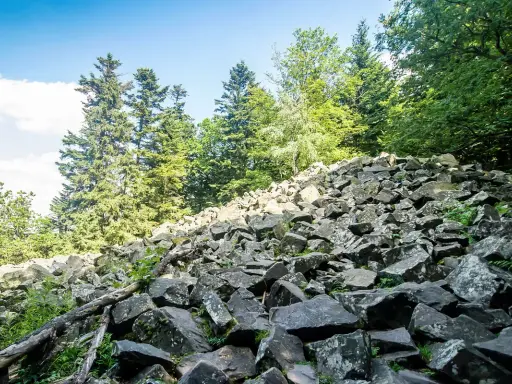 Kamieniste zbocze porośnięte paprociami i drzewami, prowadzące ku szczytom w Górach Świętokrzyskich.