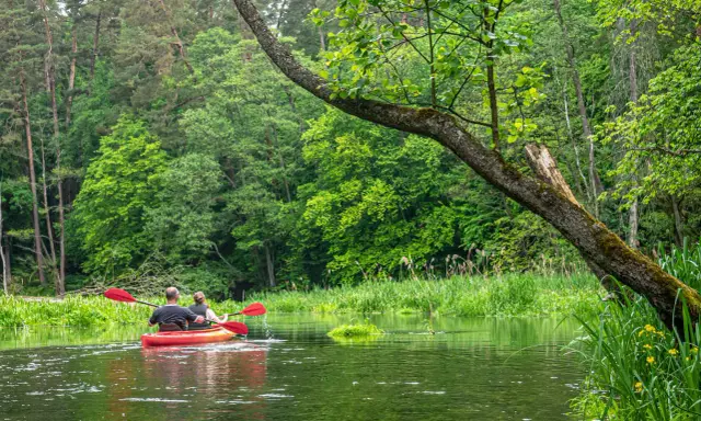 Dwie osoby płyną kajakiem po spokojnym jeziorze Ukiel, otoczeni bujną zielenią lasu.