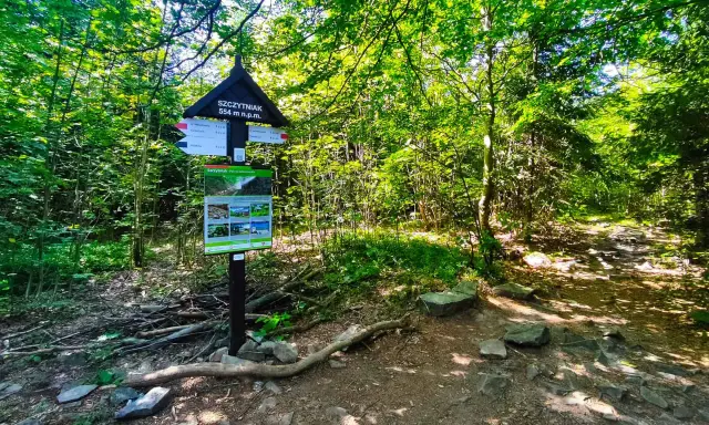 Szczytniak 554 m n.p.m. w Górach Świętokrzyskich. Tablica informacyjna i szlak w lesie.