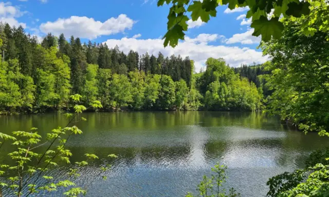 Spokojne jezioro otoczone bujną zielenią lasów, idealne na trasę "Perła Zachodu". Błękitne niebo z białymi chmurami odbija się w wodzie.