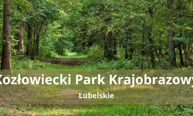 Ścieżka przez zielony las w Kozłowieckim Parku Krajobrazowym.