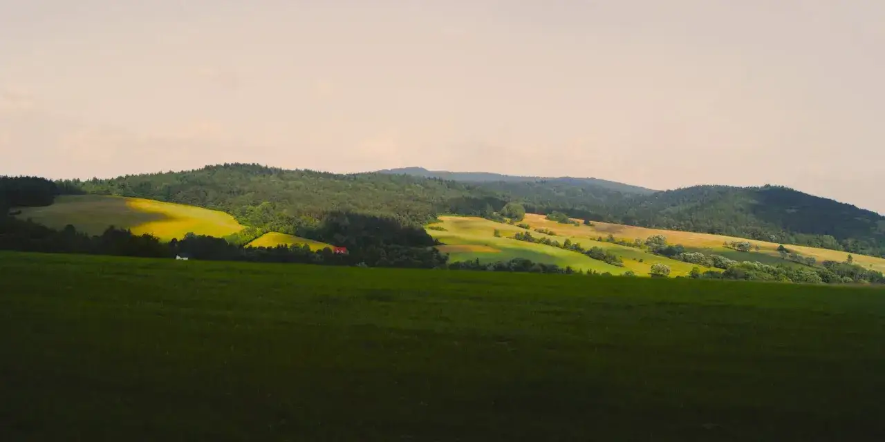 Zielone wzg&oacute;rza i lasy na tle nieba. W oddali widać domki, a na pierwszym planie pole. Krajobraz Magury Wątkowskiej.